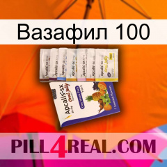 Вазафил 100 11